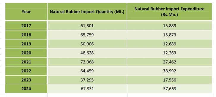 Natural Rubber Import by the year