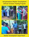 2025 Rubber Tapping Techniques Training Programs