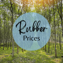 Local and International Rubber Prices - 2024 September